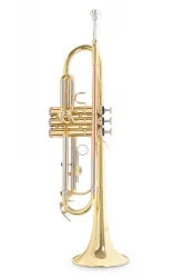 TR-202 B-Ware