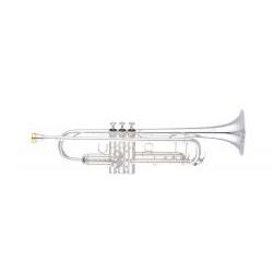 B-Trompete YTR-8335GS B-Ware