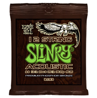 2153 Slinky-Acoustic 12-String