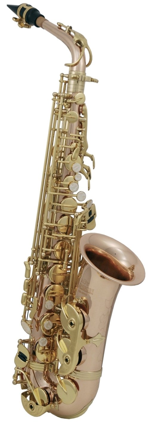 Alt-Saxophon AS-202G